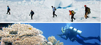 Trekking across polar ice or diving into tropical water
