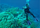 WHOI Partnership with King Abdullah University of Science and Technology (KAUST)