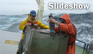 2008 Photo Highlights