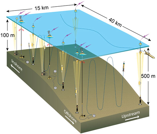 The Pioneer Array