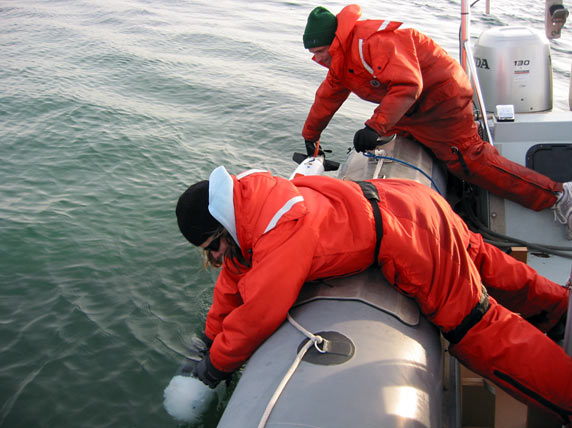 Amy Kukulya and Greg Packard deploy a REMUS 100 vehicle