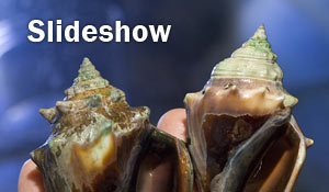 Geology & Geophysics Photo Highlights