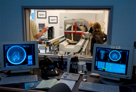 hyperbaric chamber