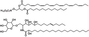 Two lipid compounds, new to science, discovered by Ben Van Mooy
