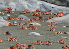 Coastal Ocean Institute