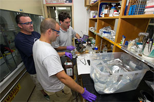 deepwater horizon oil spill sample