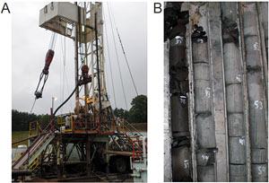 microbial generation of natural gas from the organic-rich Antrim Shale