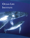 OLI 2010 Annual Report