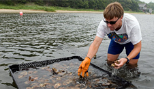 Aquaculture