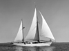 r/v aries