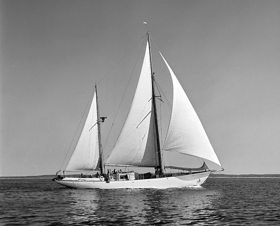 r/v aries