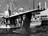 R/V Crawford with P5M wing attached..