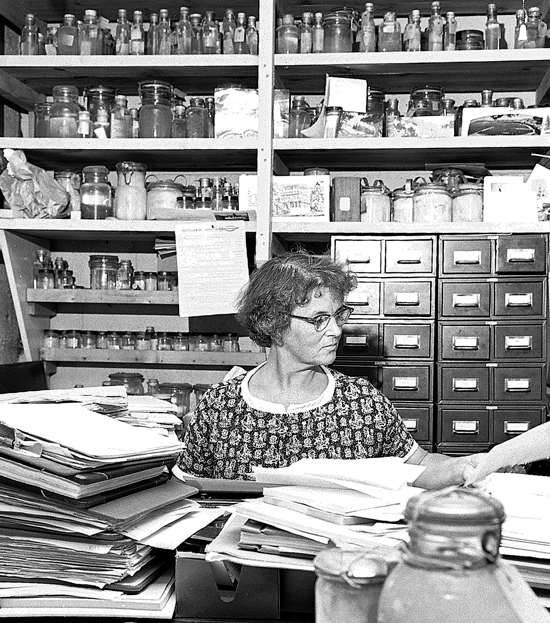 Mary Sears