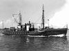 anton dohrn