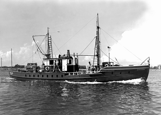 anton dohrn