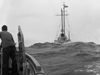 balanus being towed