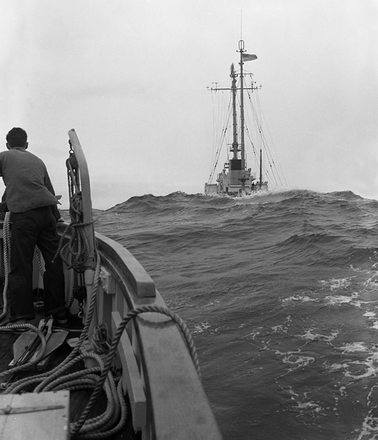 balanus being towed