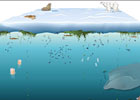 Arctic Ecosystem