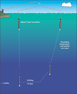An artist's conceptions shows how an Argo float sinks to the depths, drifts with ocean currents (taking measurements along the way), rises to the surface, and transmits data back to shore via satellite.