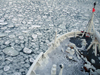 Sea Ice in the Bering Sea