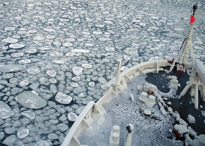 Sea Ice in the Bering Sea