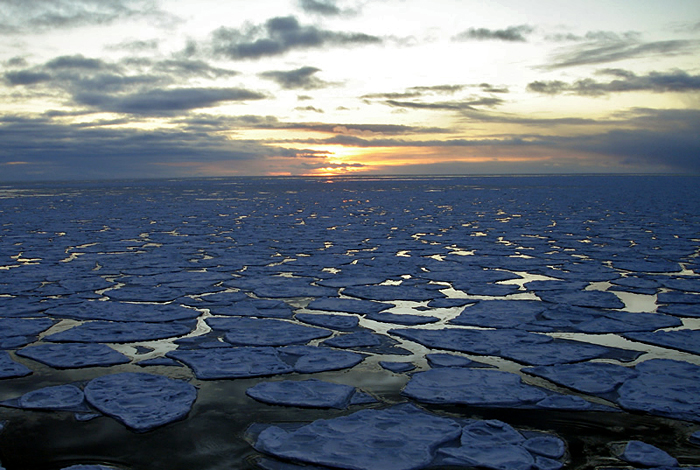 Pancake ice