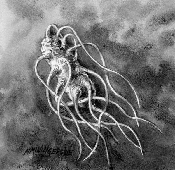 Shigella