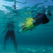 Grouper Dynamics In Belize