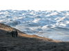 Leverett glacier