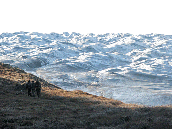 Leverett glacier