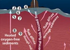 Microbial Life Below the Seafloor