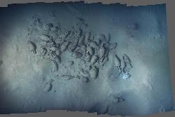 A photomosaic of the aft cargo assemblage on the 1st century B.C. Skerki D shipwreck. Images from the 2003 field season aboard R/V Knorr.