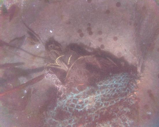 'Ghost' trawl net on Paul Palmer windlass