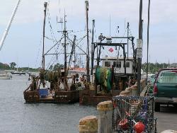 trawl vessels at Woods Hole