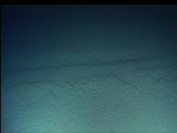 Evidence of trawl fishing at 500+ m off Malta in the Mediterranean