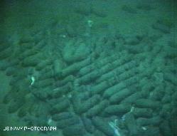 Image of Ashkelon wreck collected in 1997 by submarine NR-1