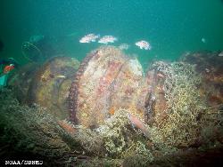 Trawl net hung down on Paul Palmer windlass