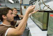 Biochemical Toxicology in the Marine Environment