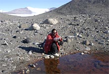 Proteomics in the Marine Environment