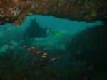 Brad Rosenheim's photo