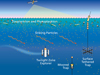 Particles sinking from sunlit surface waters through the ocean?s dimly lit twilight zone are swept sideways by currents.