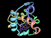 Metalloenzymes in Oxygen Minimum Zones 