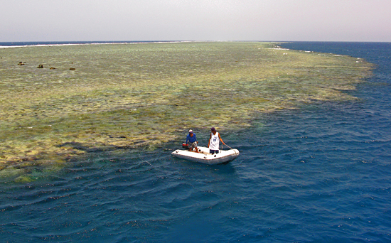 Dive boat at coral reef