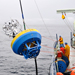 Surface Mooring