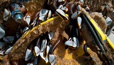 anti-fouling