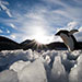 From Penguins to Polar Bears: Impacts of Climate Change