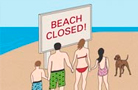 Why is the beach closed?