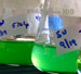 WHOI Teaming with Flatley Discovery Lab in Search for Effective Treatments for Cystic Fibrosis