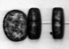 Images of diatoms captured by the Imaging FlowCytobot
