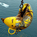 A Mooring in Iceberg Alley